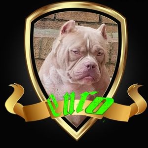 Meet your Posher, Corey